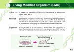 Living Modified Organism (LMO)