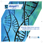 Balanced, robust whole genome amplification from single cells