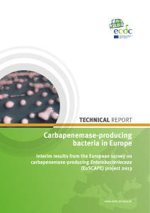 Carbapenemase-producing bacteria in Europe