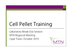 PARIKH: Cell Pellet Training