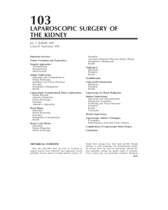 laparoscopic surgery of the kidney