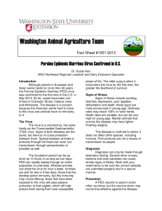 Washington Animal Agriculture Team