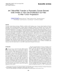 let-7 MicroRNA Transfer in Pancreatic Cancer