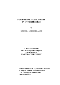 Peripheral Neuropathy In Hypertension