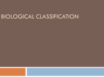 Classification Systems - Unityanddiversity2010