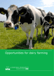Opportunities for dairy farming