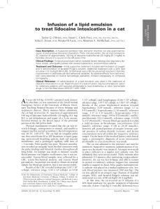 Infusion of a lipid emulsion to treat lidocaine intoxication in a cat