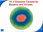 19–3 Diseases Caused by Bacteria and Viruses