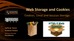 Web Storage and Cookies