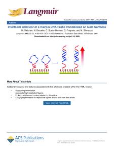Interfacial Behavior of a Hairpin DNA Probe Immobilized on Gold