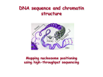 DNA sequence and chromatin structure
