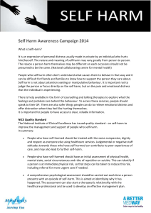 Self Harm Awareness Campaign 2014