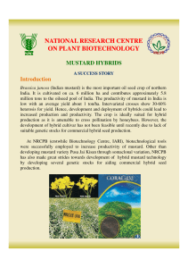 Mustard Hybrids - National Research Centre on Plant Biotechnology