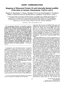 Mapping of ribosomal protein S3 and internally nested snoRNA