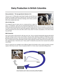 Castration in Beef Cattle – Methods and Pain Mediations