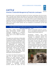 CATTLE Honduras: Sustainable Management of Production
