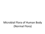 Microbial Flora of the Human Body