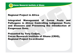 Regional Project in Africa Integrated Management of Cocoa Pests