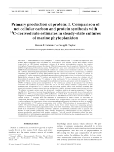 Primary production of protein: I. Comparison of net cellular carbon
