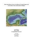 Risks and Effects of Sea Level Rise on Coastal Peoples and