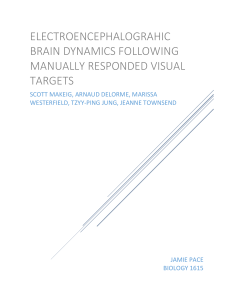 EEG Brain Dynamics