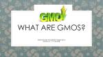 GMO Power Point [4/20/2017]