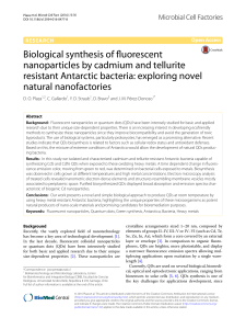 Biological synthesis of fluorescent nanoparticles by cadmium and