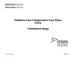palliative care collaborative care plan