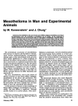 Mesothelioma in Man and Experimental Animals