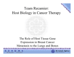 Team Recamier: Host Biology in Cancer Therapy