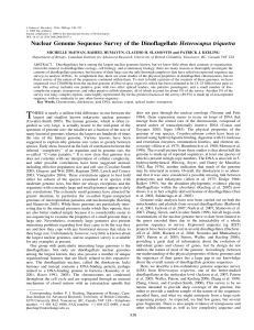 Nuclear Genome Sequence Survey of the