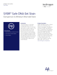sYBr® safe Dna Gel stain