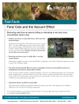 Fast Facts Feral Cats and the Vacuum Effect
