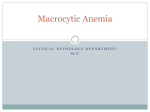 Macrocytic Anemia