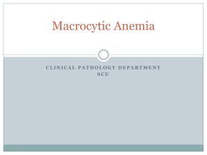 Macrocytic Anemia
