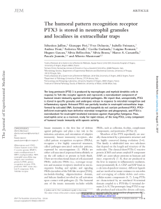 The humoral pattern recognition receptor PTX3 is stored in