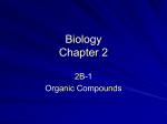 Biology 2B-1 - secondary