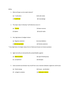 MCQs: What cell types can be made tolerant? T