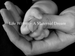 Life Within – A Maternal Dream