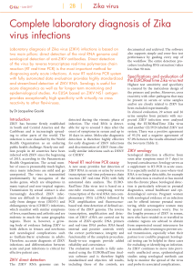 Complete laboratory diagnosis of Zika virus infections