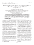 Identification of a Second Collagen-Like