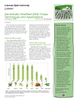 Genetically Modified (GM) Crops - Colorado State University Extension