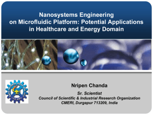 Nanosystems Engineering on Microfluidic Platform: Potential