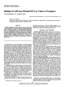 Binding of ColEl-kan Plasmid DNA by Tobacco