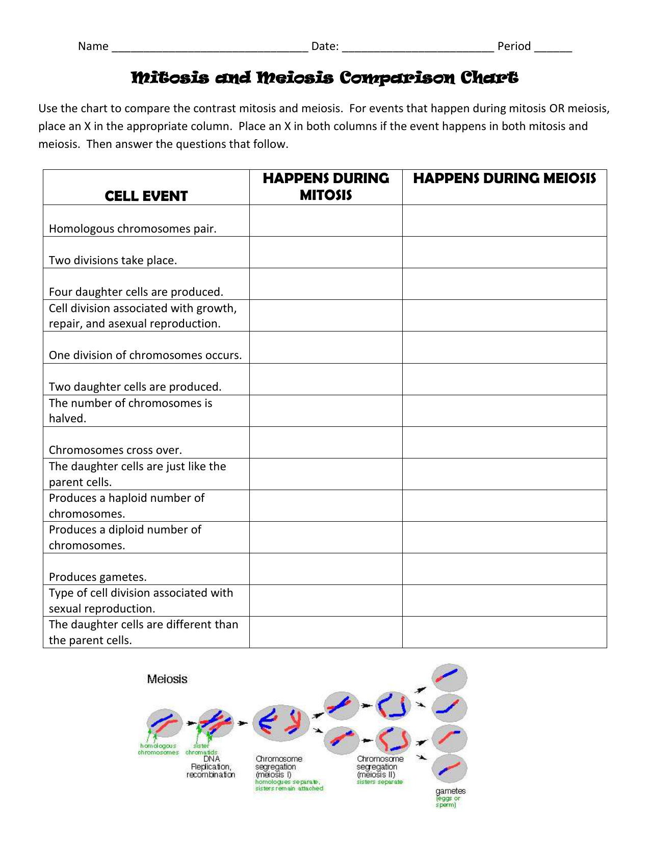 Mitosis and Meiosis Comparison Chart CELL EVENT HAPPENS Pertaining To Meiosis Worksheet Vocabulary Answers