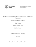 The Development of Microfinance Institutions in a Multi