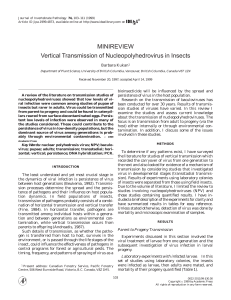 Vertical Transmission of Nucleopolyhedrovirus in