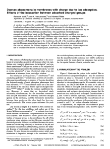 Donnan phenomena in membranes with charge due to ion