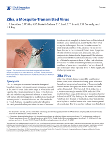 Zika, a Mosquito-Transmitted Virus