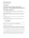 Overexpression of the catalytic subunit of DNA polymerase results in